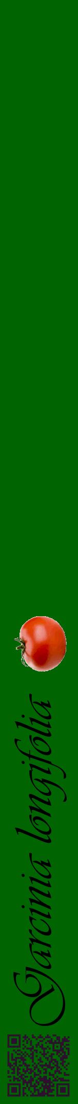 Étiquette de : Garcinia longifolia - format a - style noire8viv avec qrcode et comestibilité simplifiée