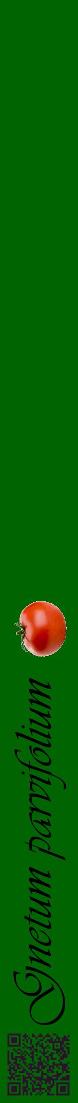 Étiquette de : Gnetum parvifolium - format a - style noire8viv avec qrcode et comestibilité simplifiée