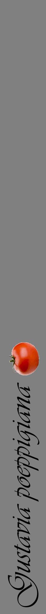 Étiquette de : Gustavia poeppigiana - format a - style noire57viv avec comestibilité simplifiée