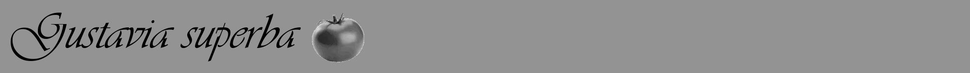 Étiquette de : Gustavia superba - format a - style noire44viv avec comestibilité simplifiée