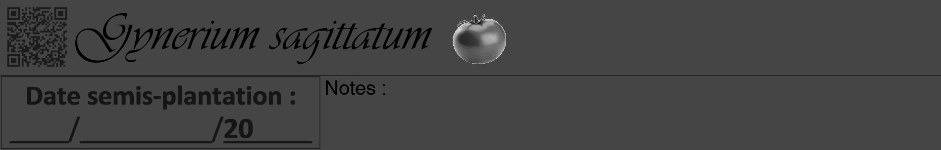 Étiquette de : Gynerium sagittatum - format a - style noire58basiqueviv avec qrcode et comestibilité simplifiée
