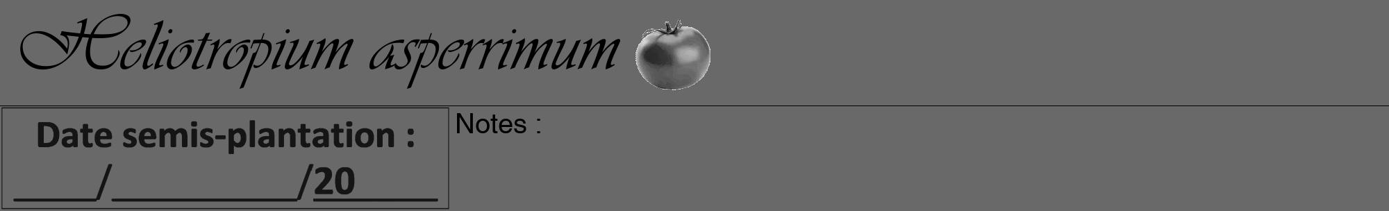 Étiquette de : Heliotropium asperrimum - format a - style noire51viv avec comestibilité simplifiée