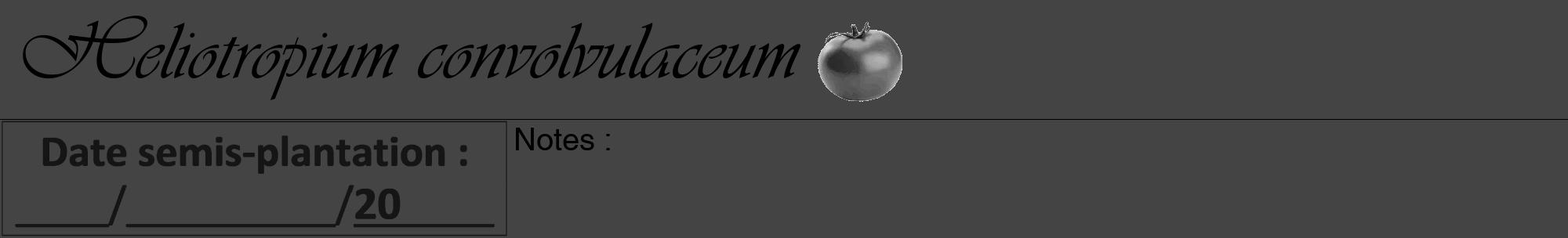 Étiquette de : Heliotropium convolvulaceum - format a - style noire48viv avec comestibilité simplifiée