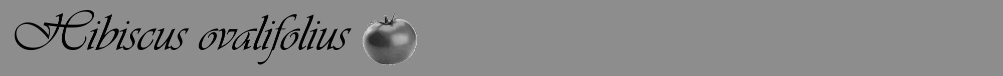 Étiquette de : Hibiscus ovalifolius - format a - style noire2viv avec comestibilité simplifiée