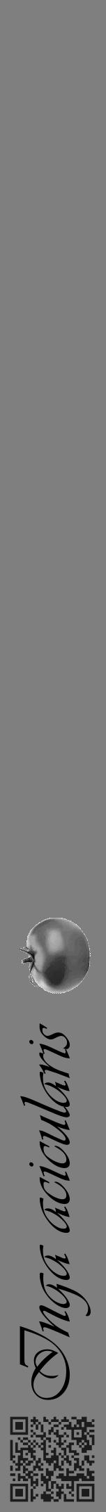 Étiquette de : Inga acicularis - format a - style noire31viv avec qrcode et comestibilité simplifiée - position verticale