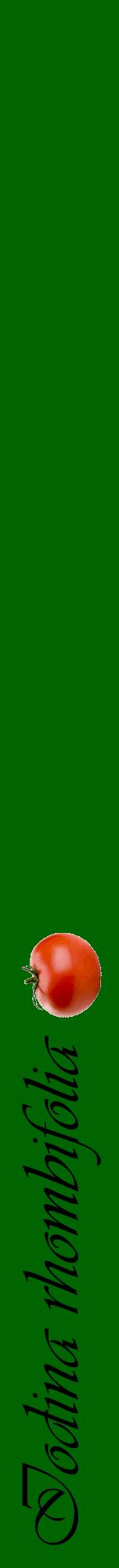 Étiquette de : Iodina rhombifolia - format a - style noire8viv avec comestibilité simplifiée