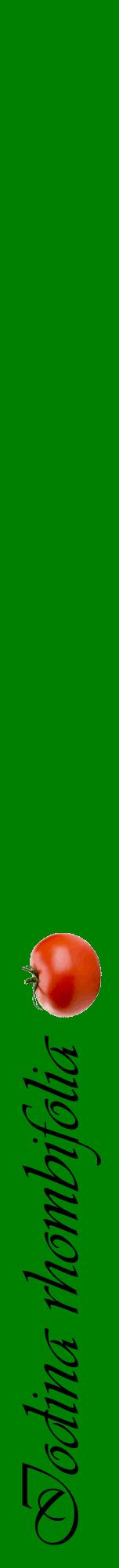 Étiquette de : Iodina rhombifolia - format a - style noire9viv avec comestibilité simplifiée