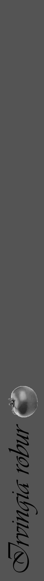 Étiquette de : Irvingia robur - format a - style noire30viv avec comestibilité simplifiée - position verticale