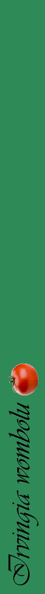 Étiquette de : Irvingia wombolu - format a - style noire11viv avec comestibilité simplifiée - position verticale