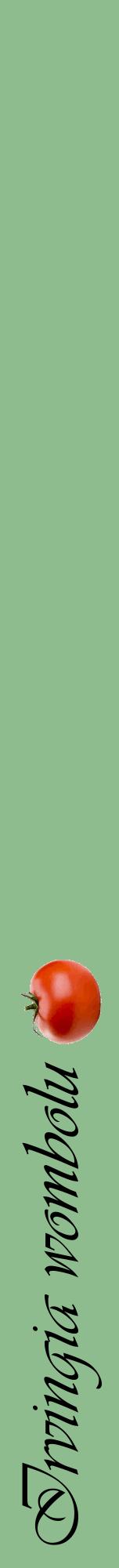 Étiquette de : Irvingia wombolu - format a - style noire13viv avec comestibilité simplifiée