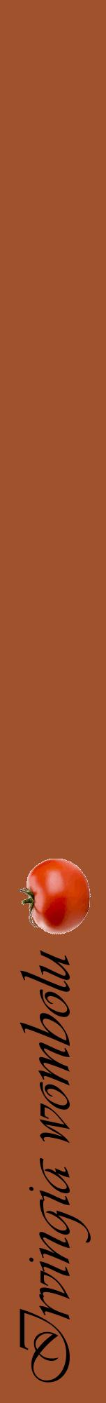 Étiquette de : Irvingia wombolu - format a - style noire32viv avec comestibilité simplifiée