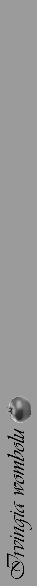 Étiquette de : Irvingia wombolu - format a - style noire52simpleviv avec comestibilité simplifiée - position verticale