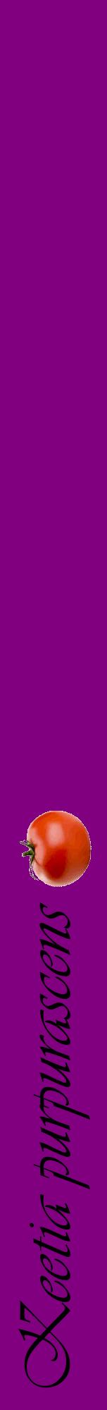 Étiquette de : Keetia purpurascens - format a - style noire46viv avec comestibilité simplifiée