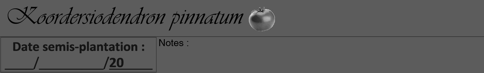Étiquette de : Koordersiodendron pinnatum - format a - style noire49viv avec comestibilité simplifiée