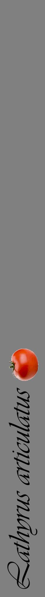 Étiquette de : Lathyrus articulatus - format a - style noire57viv avec comestibilité simplifiée