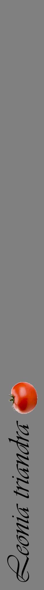 Étiquette de : Leonia triandra - format a - style noire57viv avec comestibilité simplifiée