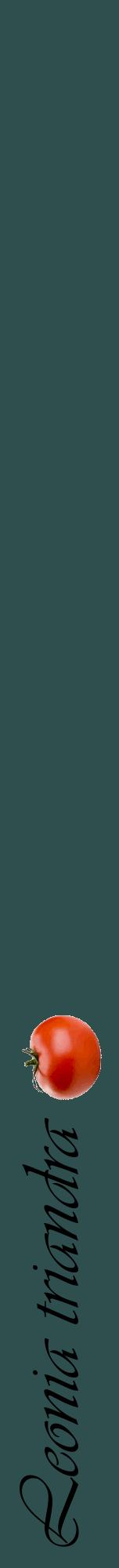 Étiquette de : Leonia triandra - format a - style noire58viv avec comestibilité simplifiée