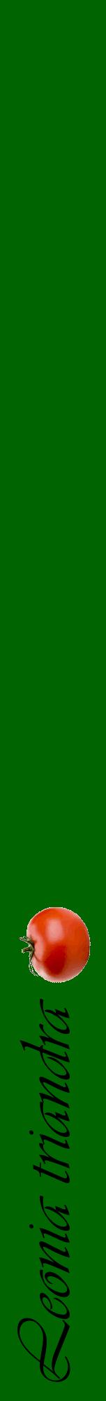 Étiquette de : Leonia triandra - format a - style noire8viv avec comestibilité simplifiée