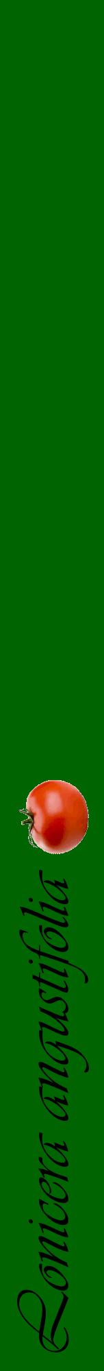 Étiquette de : Lonicera angustifolia - format a - style noire8viv avec comestibilité simplifiée