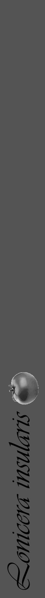 Étiquette de : Lonicera insularis - format a - style noire36viv avec comestibilité simplifiée - position verticale