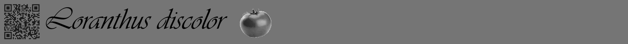Étiquette de : Loranthus discolor - format a - style noire5basiqueviv avec qrcode et comestibilité simplifiée