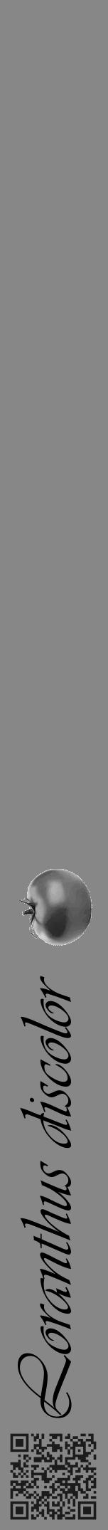Étiquette de : Loranthus discolor - format a - style noire12viv avec qrcode et comestibilité simplifiée - position verticale