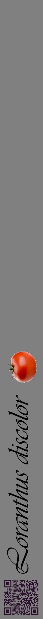 Étiquette de : Loranthus discolor - format a - style noire57viv avec qrcode et comestibilité simplifiée
