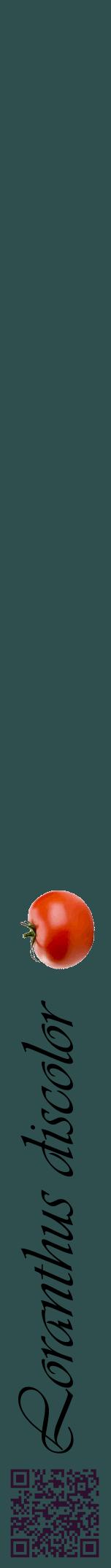 Étiquette de : Loranthus discolor - format a - style noire58viv avec qrcode et comestibilité simplifiée