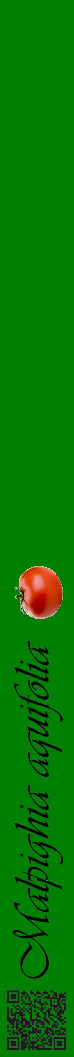Étiquette de : Malpighia aquifolia - format a - style noire9viv avec qrcode et comestibilité simplifiée