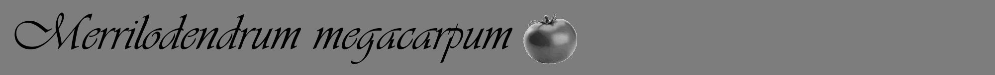 Étiquette de : Merrilodendrum megacarpum - format a - style noire35viv avec comestibilité simplifiée