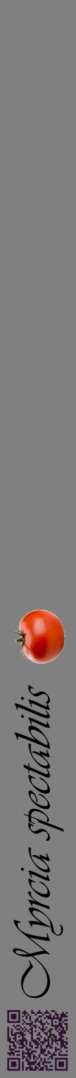 Étiquette de : Myrcia spectabilis - format a - style noire57viv avec qrcode et comestibilité simplifiée
