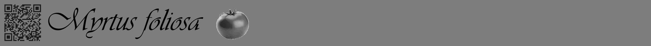 Étiquette de : Myrtus foliosa - format a - style noire35viv avec qrcode et comestibilité simplifiée