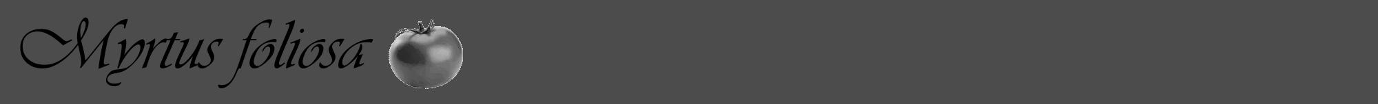 Étiquette de : Myrtus foliosa - format a - style noire27viv avec comestibilité simplifiée