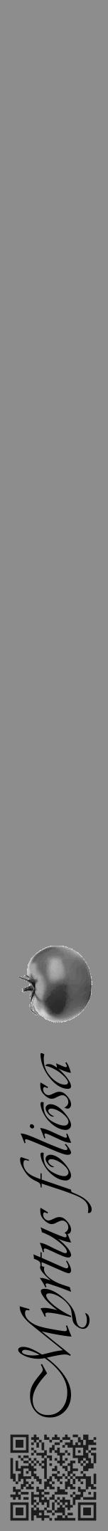 Étiquette de : Myrtus foliosa - format a - style noire2viv avec qrcode et comestibilité simplifiée - position verticale