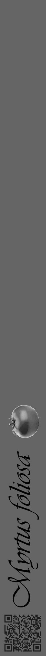 Étiquette de : Myrtus foliosa - format a - style noire32viv avec qrcode et comestibilité simplifiée - position verticale