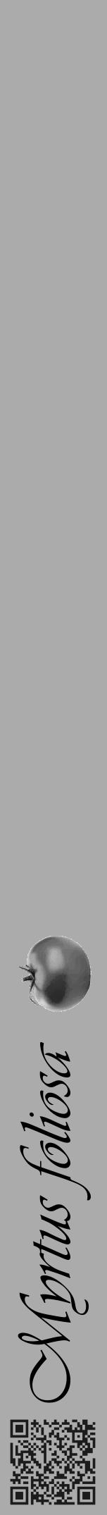 Étiquette de : Myrtus foliosa - format a - style noire37viv avec qrcode et comestibilité simplifiée - position verticale