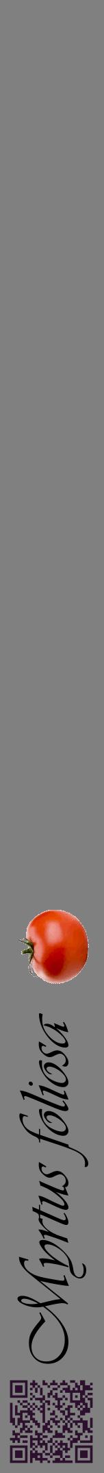 Étiquette de : Myrtus foliosa - format a - style noire57viv avec qrcode et comestibilité simplifiée