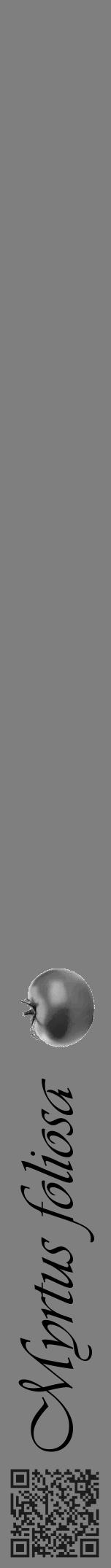 Étiquette de : Myrtus foliosa - format a - style noire57viv avec qrcode et comestibilité simplifiée - position verticale