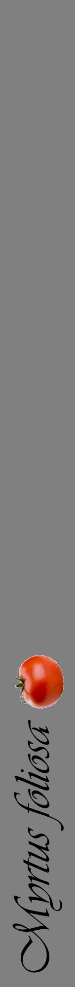Étiquette de : Myrtus foliosa - format a - style noire57viv avec comestibilité simplifiée
