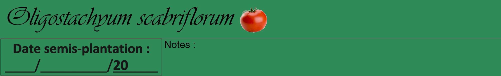 Étiquette de : Oligostachyum scabriflorum - format a - style noire11viv avec comestibilité simplifiée