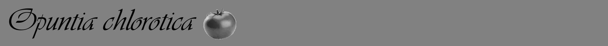 Étiquette de : Opuntia chlorotica - format a - style noire50viv avec comestibilité simplifiée