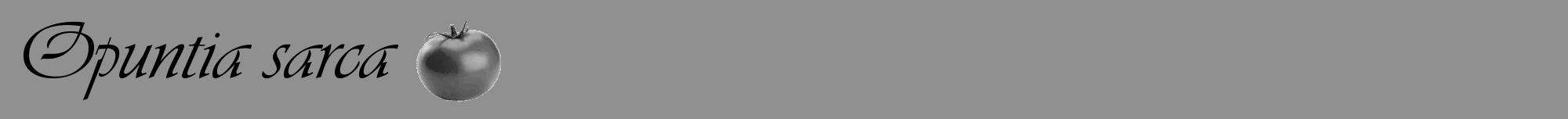 Étiquette de : Opuntia sarca - format a - style noire4viv avec comestibilité simplifiée