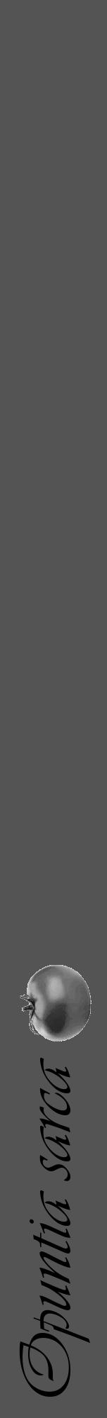Étiquette de : Opuntia sarca - format a - style noire30viv avec comestibilité simplifiée - position verticale