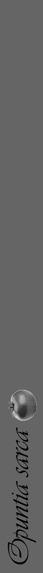 Étiquette de : Opuntia sarca - format a - style noire32viv avec comestibilité simplifiée - position verticale