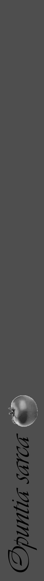 Étiquette de : Opuntia sarca - format a - style noire33viv avec comestibilité simplifiée - position verticale
