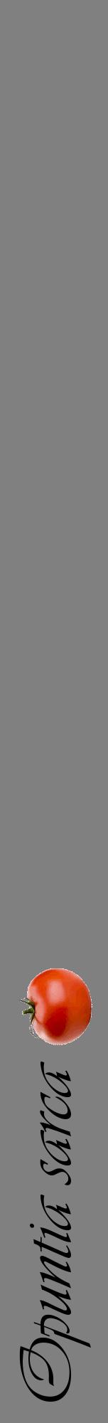 Étiquette de : Opuntia sarca - format a - style noire57viv avec comestibilité simplifiée