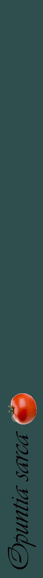 Étiquette de : Opuntia sarca - format a - style noire58viv avec comestibilité simplifiée