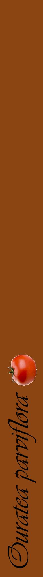 Étiquette de : Ouratea parviflora - format a - style noire30viv avec comestibilité simplifiée