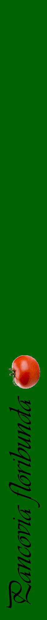 Étiquette de : Pancovia floribunda - format a - style noire8viv avec comestibilité simplifiée