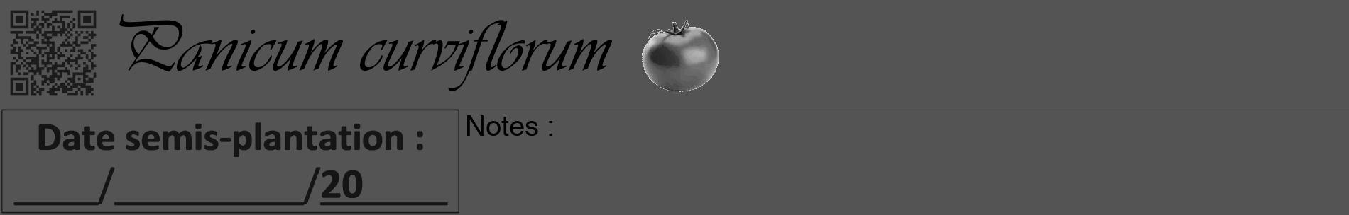 Étiquette de : Panicum curviflorum - format a - style noire36basiqueviv avec qrcode et comestibilité simplifiée